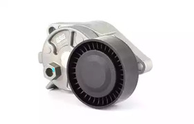 BSG bsg15615006 -