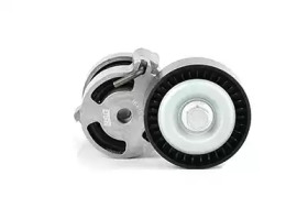 BSG bsg15615008 -  