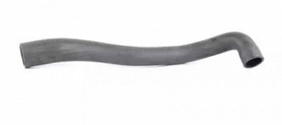 BSG bsg15720056 -  