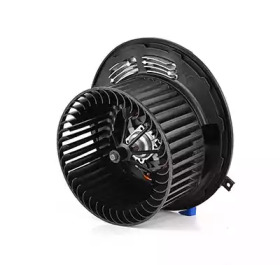 BSG bsg15845007 -