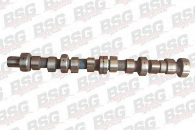 BSG bsg30108003 -