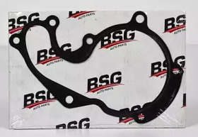 BSG bsg30116017 -