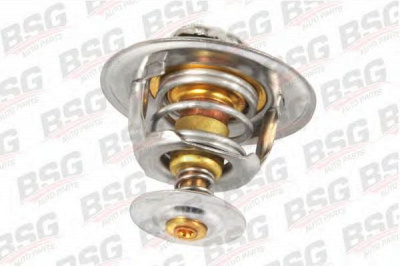 BSG bsg30125008 -