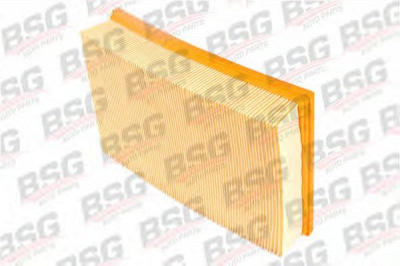 BSG bsg30135004 -  