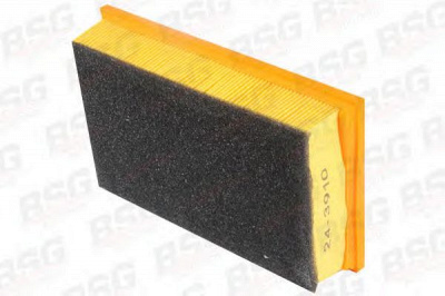 BSG bsg30135005 -