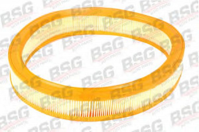 BSG bsg30135008 -  