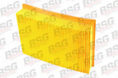 BSG bsg30135009 -