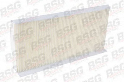 BSG bsg30145003 -  