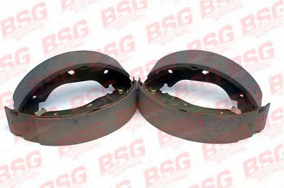 BSG bsg30205006 -  