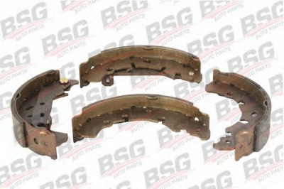 BSG bsg30205011 -