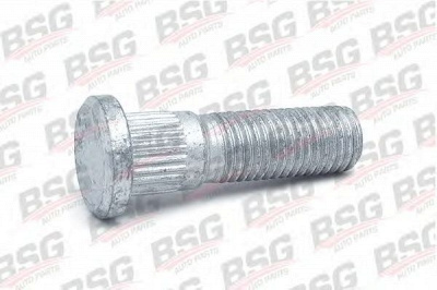 BSG bsg30230019 -