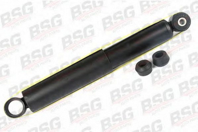 BSG bsg30300002 -  