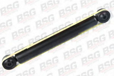 BSG bsg30300006 -  