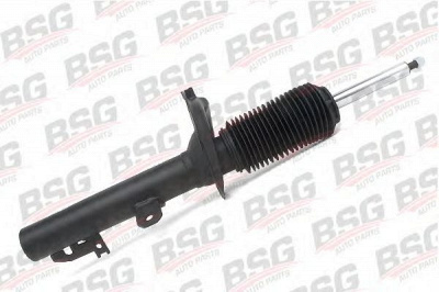 BSG bsg30300011 -