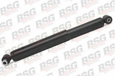 BSG bsg30300012 -