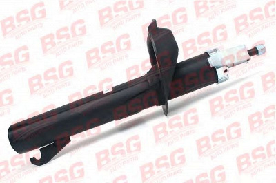 BSG bsg30300013 -