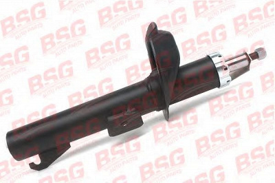 BSG bsg30300014 -  