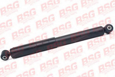 BSG bsg30300015 -  