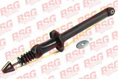 BSG bsg30300017 -  