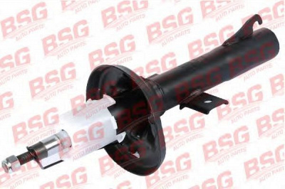 BSG bsg30300018 -