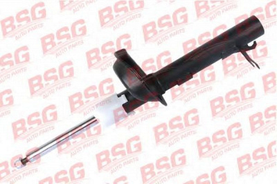 BSG bsg30300021 -  