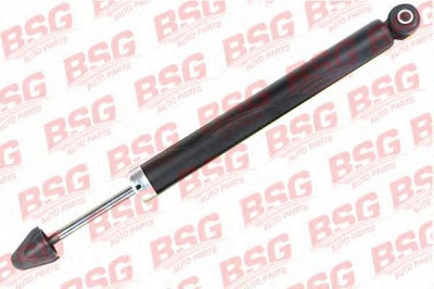 BSG bsg30300022 -