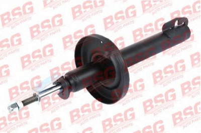 BSG bsg30300025 -