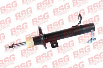 BSG bsg30300027 -  