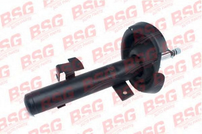 BSG bsg30300033 -