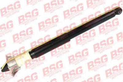 BSG bsg30300034 -  