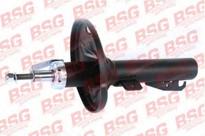 BSG bsg30300035 -