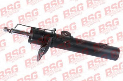 BSG bsg30300039 -