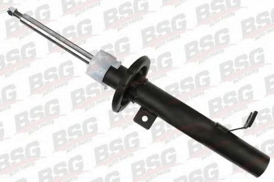 BSG bsg30300043 -