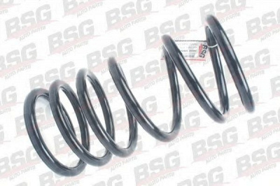 BSG bsg30305004 -