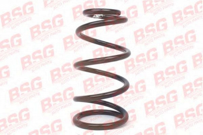 BSG bsg30305005 -