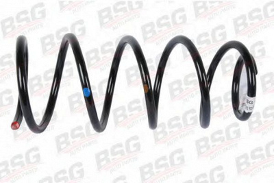 BSG bsg30305006 -