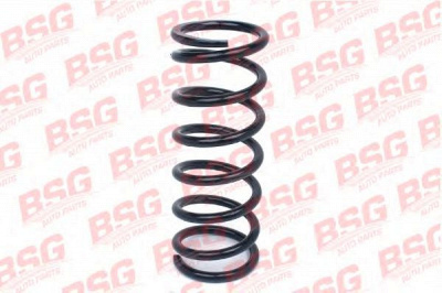 BSG bsg30305008 -  