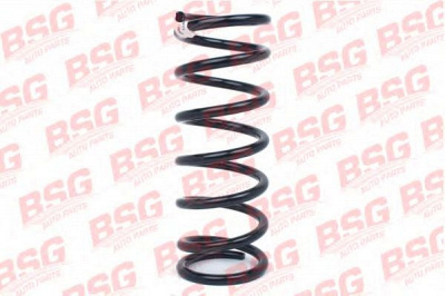 BSG bsg30305009 -  