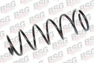 BSG bsg30305012 -  