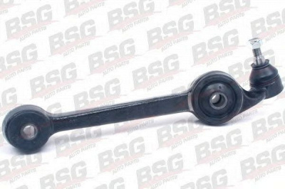 BSG bsg30310060 -