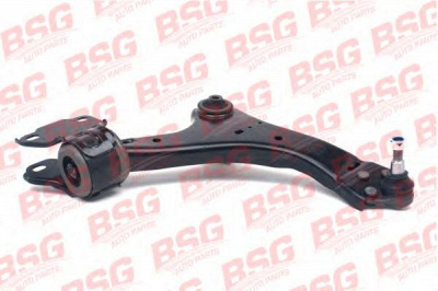 BSG bsg30315007 -  