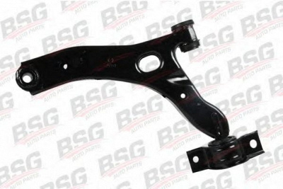 BSG bsg30315022 -  
