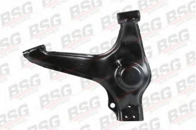 BSG bsg30315028 -  