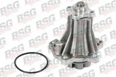 BSG bsg30500006 -  
