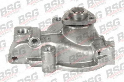 BSG bsg30500009 -  