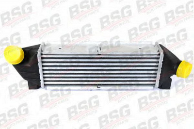 BSG bsg30535001 -
