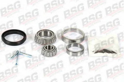 BSG bsg30600003 -