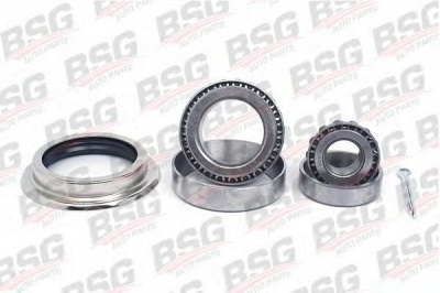 BSG bsg30600004 -  