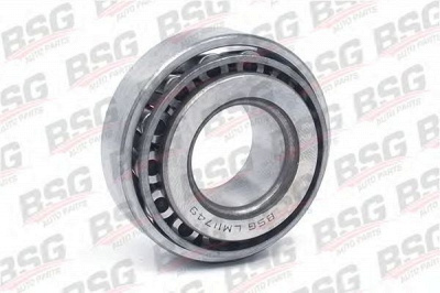 BSG bsg30605001 -  