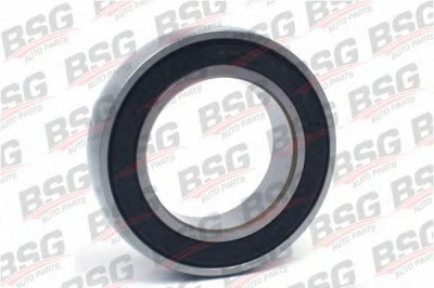 BSG bsg30635001 -  